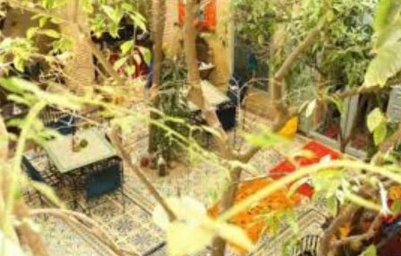 Les Jardins De Kesali Hotel Marrakesch